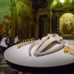 ¡Últimas noticias de Moby Dick! ¡La gran ballena avistada en Génova!