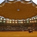 Carteles para San Jorge en Zaragoza: la Diputación tiene para elegir