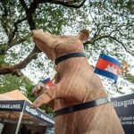 Camboya inaugura una estatua en honor a una rata detectora de minas antipersonas