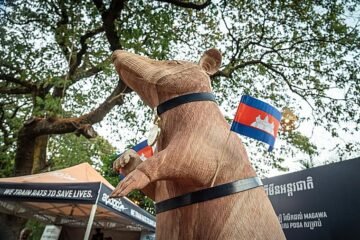 Camboya inaugura una estatua en honor a una rata detectora de minas antipersonas