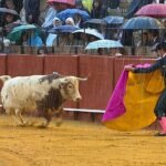 La oreja que se llevó la lluvia…