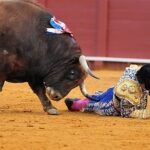 Morante se recupera en un hospital sevillano de la cornada sufrida en el glúteo este lunes en Sevilla