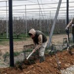 El TJUE ve discriminatorio exigir diez años de residencia para acceder a ayudas sociales