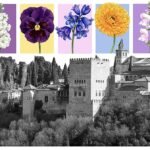 La Alhambra, un lienzo con cinco hectáreas en flor
