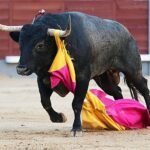 Zapatero y la botica de Saltillo