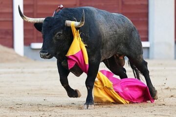Zapatero y la botica de Saltillo