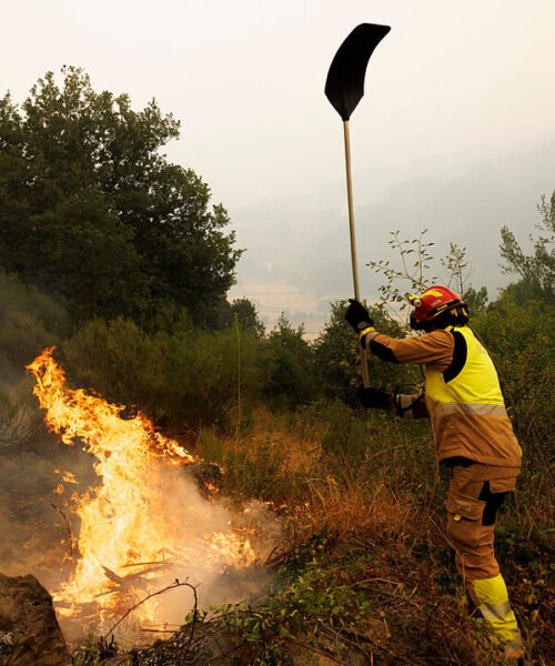 Cómo detectar un incendio 30 minutos antes para evitar una catástrofe