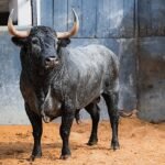 Victorino baja el telón de San Isidro