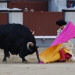 Llanto por Borja Jiménez: su apuesta merecía otro final
