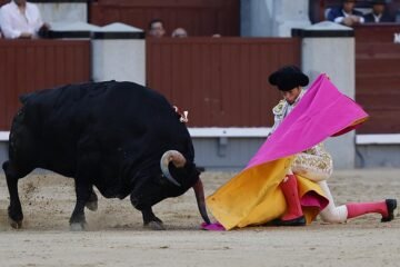 Llanto por Borja Jiménez: su apuesta merecía otro final
