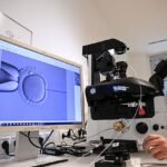 Una nueva tecnología abre la puerta a curar casi desde la concepción y crear bebés de diseño
