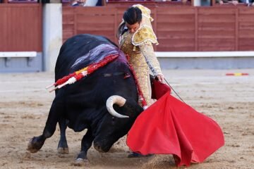 Tarde de toreros