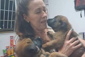 Izkandé y Luna, cuando la esperanza sobrevuela una montaña de escombros