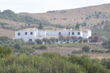 Insectos en la cocina, agua estancada, heces de roedores… El desastroso estado de Cantora, la histórica casa de Isabel Pantoja