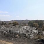 Incendios hoy en España, última hora en directo | El incendio de Orés (Zaragoza), pendiente del viento y con cuatro pueblos en preaviso de evacuación o confinamiento