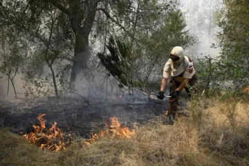 Incendios en Madrid, Vall d’Uixó y resto de España, última hora, en directo | El incendio que afecta a Madrid, Ávila y Toledo mantiene estable su perímetro durante 24 horas por primera vez desde el inicio de la emergencia