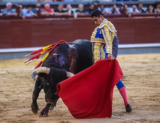Un incontestable Héctor Gutiérrez gana la Copa Chenel