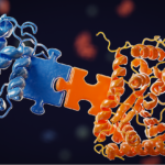 Un «quita y pon» inspirado en las bacterias para crear fármacos anti-cáncer a la carta