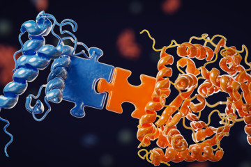 Un «quita y pon» inspirado en las bacterias para crear fármacos anti-cáncer a la carta