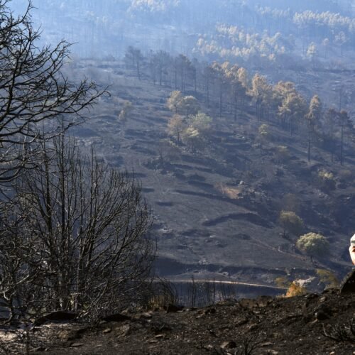 Última hora de los incendios forestales, en directo | Los incendios dan una tregua: los vecinos de 13 municipios de Madrid y Ávila vuelven a sus casas