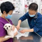 China no protesta por los derechos humanos, pero sí por los de los animales