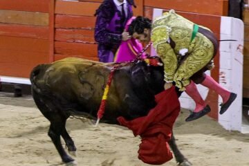 Morante pone el alma y el susto en una gran noche taurina en la plaza de Palma