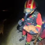 La UME rescata a ganado atrapado por las llamas