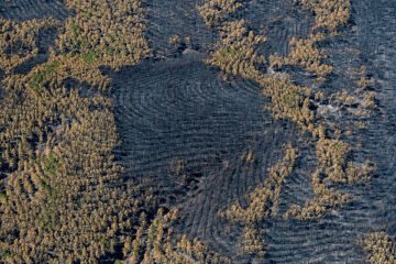 Controlado el incendio de La Mierla (Guadalajara), que ha afectado a 32.000 hectáreas