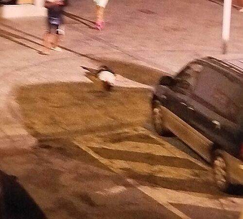 Tres muertos en un tiroteo en Isla Cristina, incluida una mujer embarazada y un menor, por rencillas familiares del narcotráfico