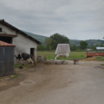 Muere un ganadero de 58 años tras sufrir la cornada de uno de sus toros en Saro (Cantabria)