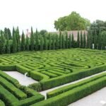 Venecia recupera el enigmático laberinto de Borges construido con plantas de boj