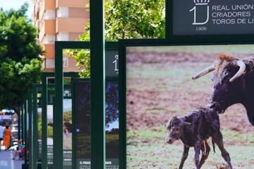 Málaga acoge la mayor exposición al aire libre sobre el toro bravo y la biodiversidad