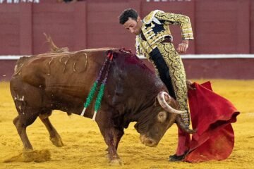 David de Miranda marca su territorio y vuelve a ser gente en Málaga