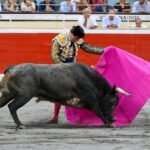 Ningún Tapaboca en una corrida sin la chispa de la vida