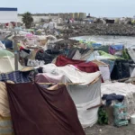 El 40% de los inmigrantes pide asilo y la Policía alerta de posible «fraude»