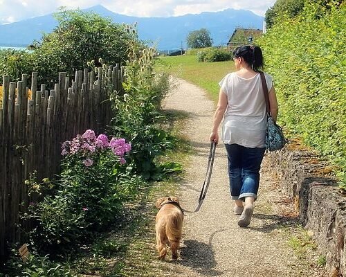 Ya ha entrado en vigor: estos son los 90 ayuntamientos que solicitan un registro del ADN obligatorio de las mascotas en España