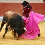 La calidad de Emiliano Osornio, y la faena de Hurtado a Chorlito